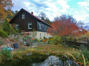 Spacious apartment in Harz near ski area
